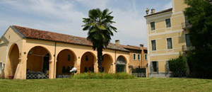 Performance di danza